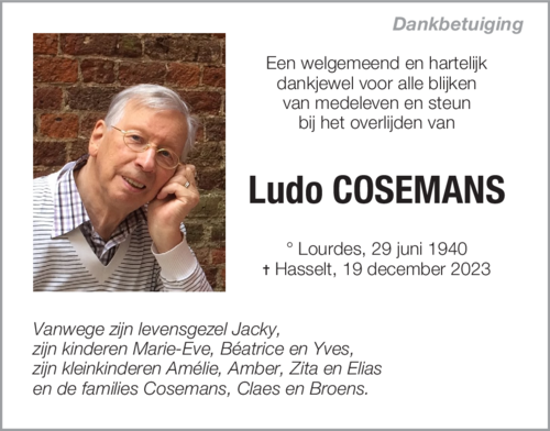 Ludo Cosemans