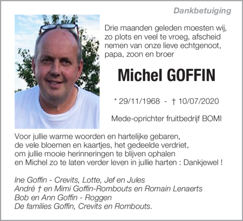 Michel Goffin