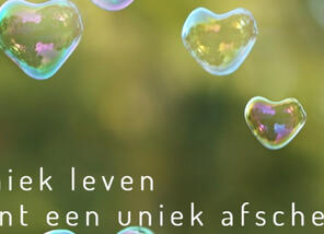 j4uaemckb1-banner2.jpg